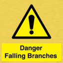 danger-falling-branches~